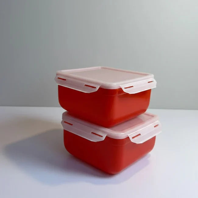 Keep Food Fresh 2 Piece Airtight Containers