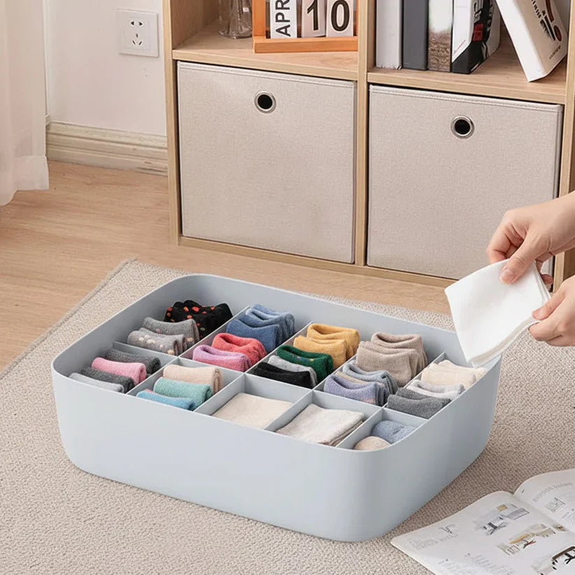 Multi Compartment Mini Parts Organizer